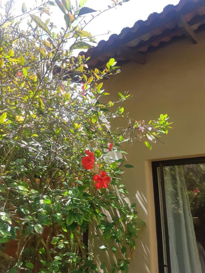 Tidal Retreat Ξενοδοχείο Plettenberg Bay Εξωτερικό φωτογραφία